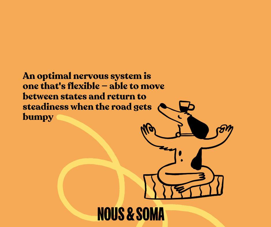 Nervous System Regulation: Why Calm Isn’t the Goal | Nous & Soma.